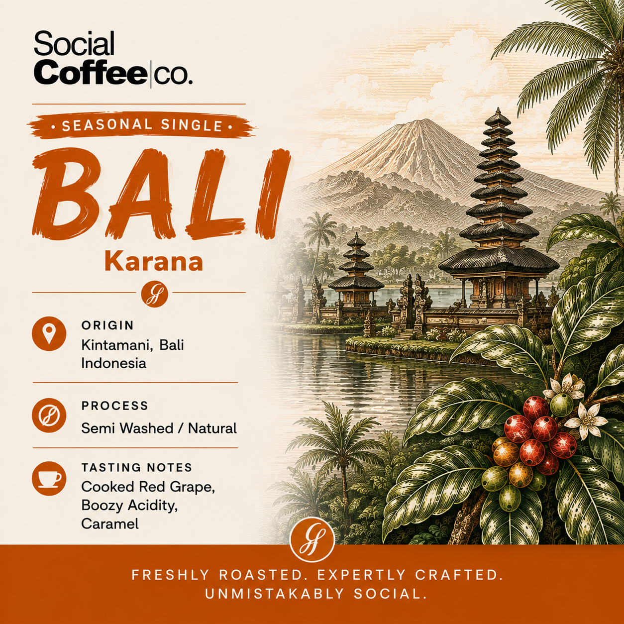 Single Origin Bali - Filter Roast