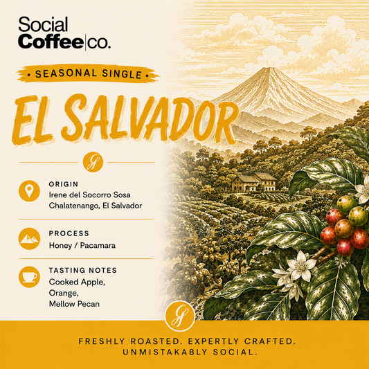 Single Origin EL Salvador - Filter Roast